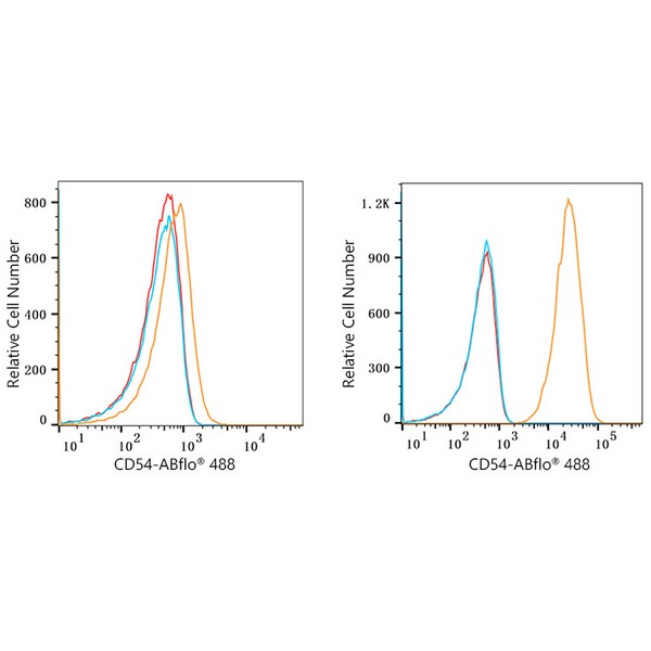 ABflo® 488 Rabbit anti-Human ICAM-1/CD54 mAb (A22312) ABflo® 488 Rabbit anti-Human ICAM-1/CD54 mAb (A22312)