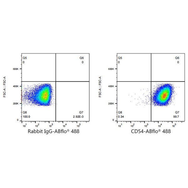 A22312: ABflo® 488 Rabbit anti-Human ICAM-1/CD54 mAb