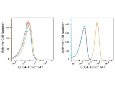 ABflo® 647 Rabbit anti-Human ICAM-1/CD54 mAb (A22313)