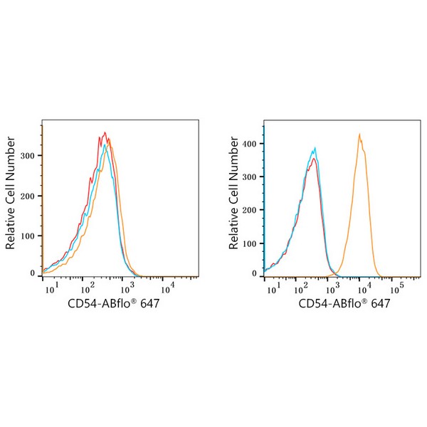 ABflo® 647 Rabbit anti-Human ICAM-1/CD54 mAb (A22313) ABflo® 647 Rabbit anti-Human ICAM-1/CD54 mAb (A22313)