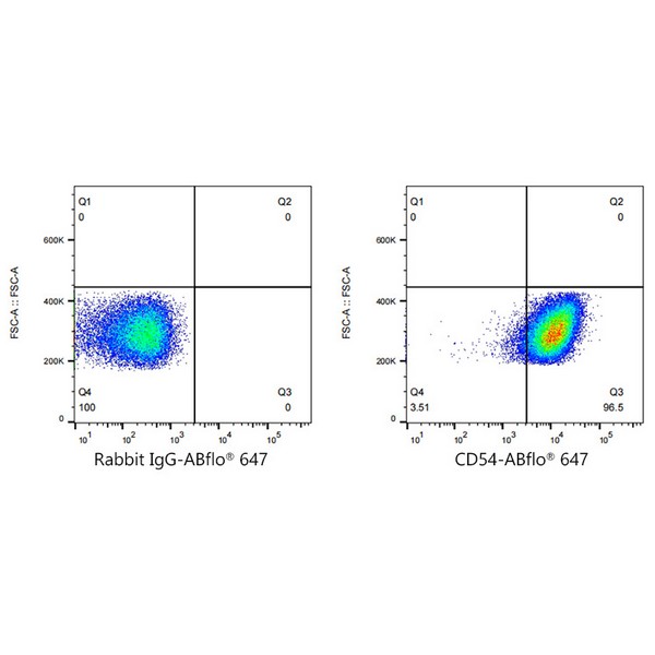 A22313: ABflo® 647 Rabbit anti-Human ICAM-1/CD54 mAb