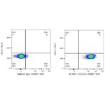 Abclonal ABflo® 647 Rabbit anti-Human ICAM-1/CD54 mAb (Catalog Number: A22313)