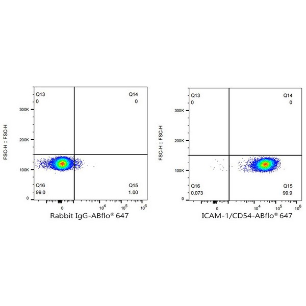 Abclonal ABflo® 647 Rabbit anti-Human ICAM-1/CD54 mAb (Catalog Number: A22313)
