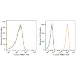 ABflo® 488 Rabbit anti-Human CD326/EPCAM mAb (A22485)