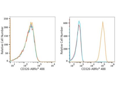 ABflo® 488 Rabbit anti-Human CD326/EPCAM mAb (A22485)