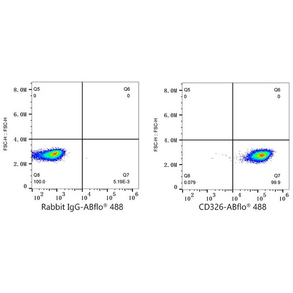 ABflo® 488 Rabbit anti-Human CD326/EPCAM mAb (Catalog Number: A22485) Abclonal