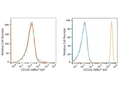 ABflo® 647 Rabbit anti-Human CD326/EPCAM mAb (A22486)