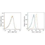 ABflo® 647 Rabbit anti-Human TIM-3/HAVCR2 mAb (A22489)