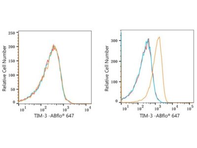 ABflo® 647 Rabbit anti-Human TIM-3/HAVCR2 mAb (A22489)