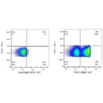 Abclonal ABflo® 647 Rabbit anti-Human TIM-3/HAVCR2 mAb (Catalog Number: A22489)