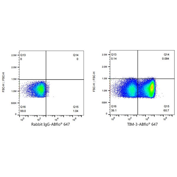 Abclonal ABflo® 647 Rabbit anti-Human TIM-3/HAVCR2 mAb (Catalog Number: A22489)