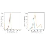 ABflo® 488 Rabbit anti-Cat CD3G mAb (A22490)