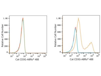 ABflo® 488 Rabbit anti-Cat CD3G mAb (A22490)