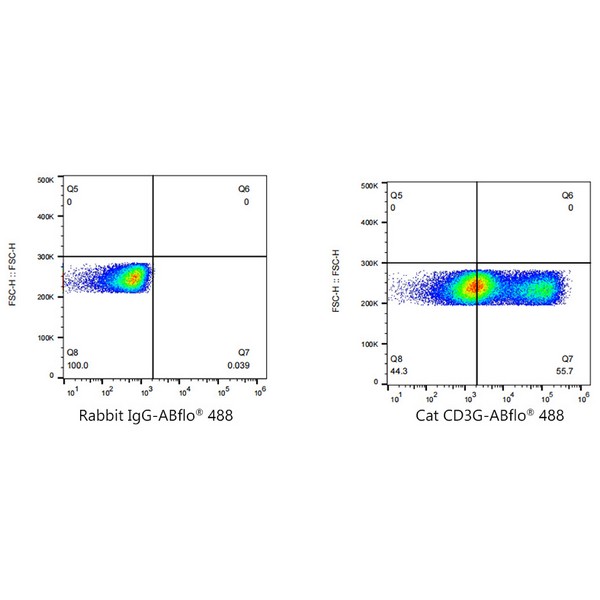 A22490: ABflo® 488 Rabbit anti-Cat CD3G mAb