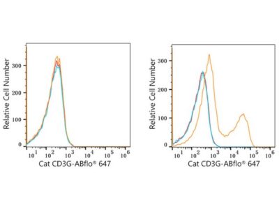 ABflo® 647 Rabbit anti-Cat CD3G mAb (A22491)