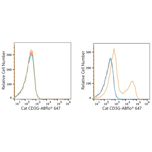 ABflo® 647 Rabbit anti-Cat CD3G mAb (A22491) ABflo® 647 Rabbit anti-Cat CD3G mAb (A22491)