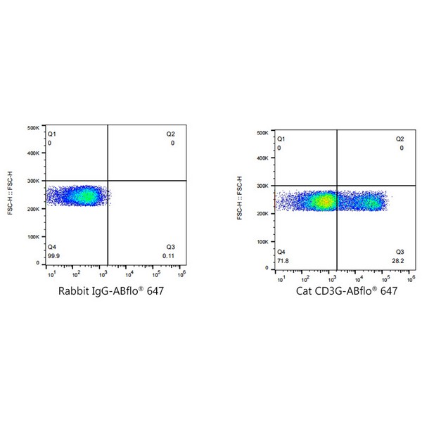 A22491: ABflo® 647 Rabbit anti-Cat CD3G mAb