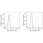 A22492: ABflo® 488 Rabbit anti-Human CD142 mAb