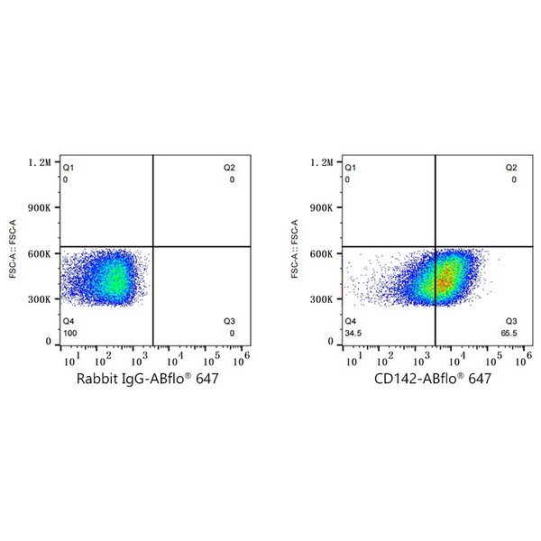 A22493: ABflo® 647 Rabbit anti-Human CD142 mAb