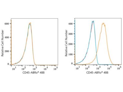 ABflo® 488 Rabbit anti-Human CD45 mAb (A22494)