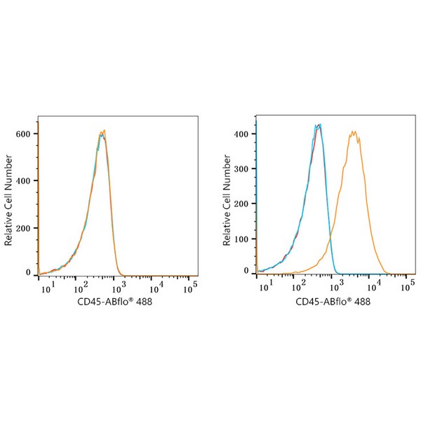 ABflo® 488 Rabbit anti-Human CD45 mAb (A22494)