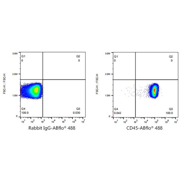 Abclonal ABflo® 488 Rabbit anti-Human CD45 mAb (Catalog Number: A22494)