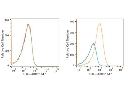 ABflo® 647 Rabbit anti-Human CD45 mAb (A22495)