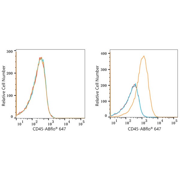 ABflo® 647 Rabbit anti-Human CD45 mAb (A22495)