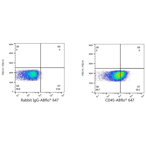 A22495: ABflo® 647 Rabbit anti-Human CD45 mAb