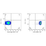 Abclonal ABflo® 647 Rabbit anti-Human CD45 mAb (Catalog Number: A22495)