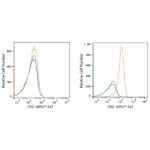 ABflo® 647 Rabbit anti-Human ERG mAb (A22497)