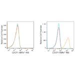 ABflo® 488 Rabbit anti-Human CDCP1 mAb (A22498)