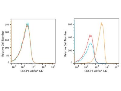 ABflo® 647 Rabbit anti-Human CDCP1 mAb (A22499)