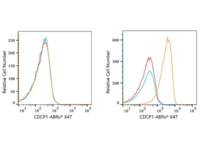 ABflo® 647 Rabbit anti-Human CDCP1 mAb (A22499)