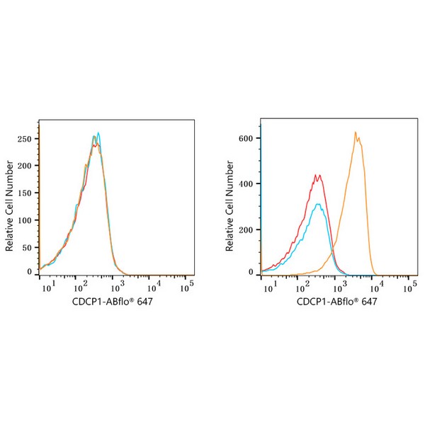 ABflo® 647 Rabbit anti-Human CDCP1 mAb (A22499) ABflo® 647 Rabbit anti-Human CDCP1 mAb (A22499)