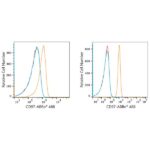 ABflo® 488 Rabbit anti-Human CD97 mAb (A22500)
