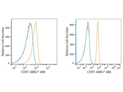 ABflo® 488 Rabbit anti-Human CD97 mAb (A22500)