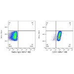 A22500: ABflo® 488 Rabbit anti-Human CD97 mAb
