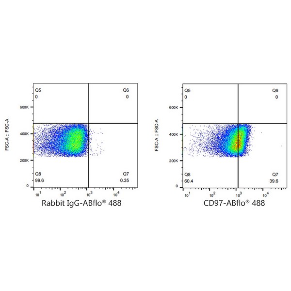 ABflo® 488 Rabbit anti-Human CD97 mAb (Catalog Number: A22500) Abclonal