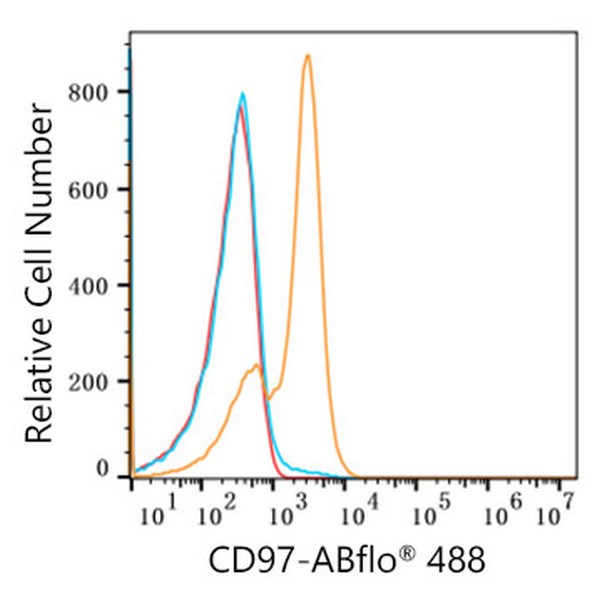 Abclonal ABflo® 488 Rabbit anti-Human CD97 mAb (Catalog Number: A22500)