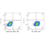 A22502: ABflo® 488 Rabbit anti-Human AXL mAb