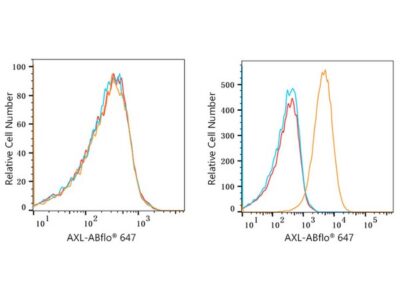 ABflo® 647 Rabbit anti-Human AXL mAb (A22503)