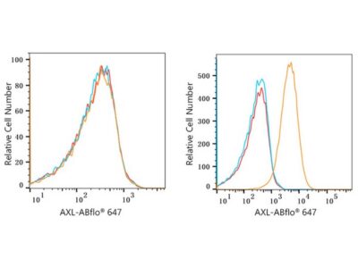 ABflo® 647 Rabbit anti-Human AXL mAb (A22503)