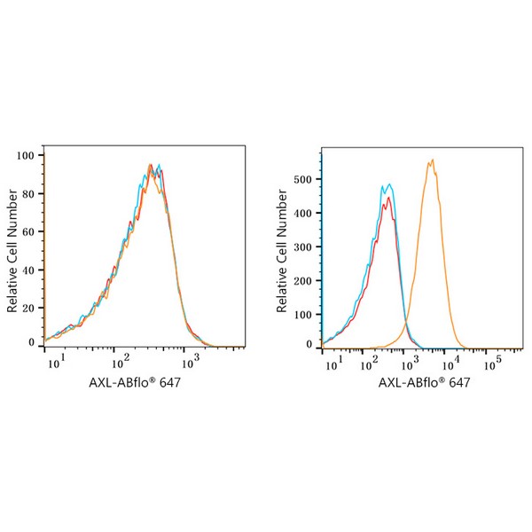 ABflo® 647 Rabbit anti-Human AXL mAb (A22503)