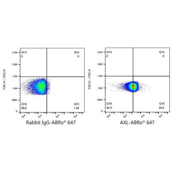 Abclonal ABflo® 647 Rabbit anti-Human AXL mAb (Catalog Number: A22503)