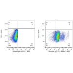 A22504: ABflo® 488 Rabbit anti-Human IgG (Fc) mAb