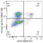 ABflo® 488 Rabbit anti-Human IgG (Fc) mAb (Catalog Number: A22504) Abclonal