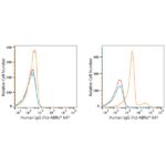 ABflo® 647 Rabbit anti-Human IgG (Fc) mAb (A22505)