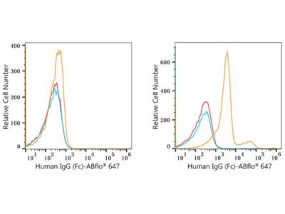 ABflo® 647 Rabbit anti-Human IgG (Fc) mAb (A22505)