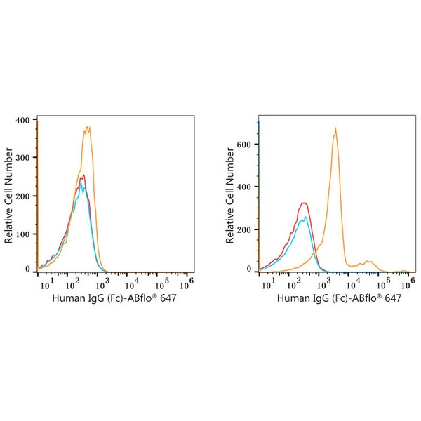 ABflo® 647 Rabbit anti-Human IgG (Fc) mAb (A22505) ABflo® 647 Rabbit anti-Human IgG (Fc) mAb (A22505)